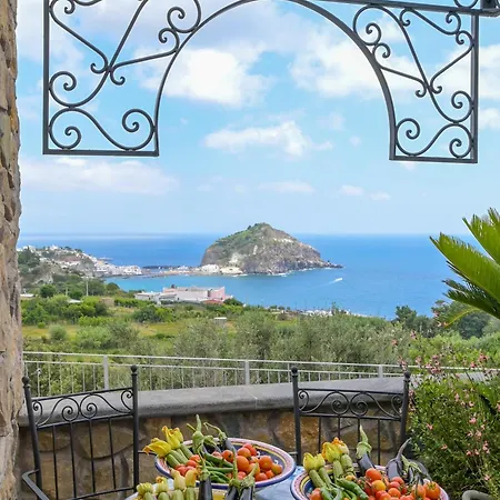 Bed & Breakfast Tenuta Monte Di Panza Ischia